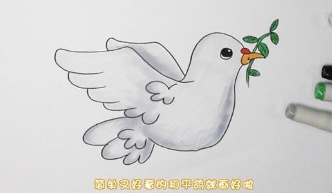 和平鸽简笔画怎么画