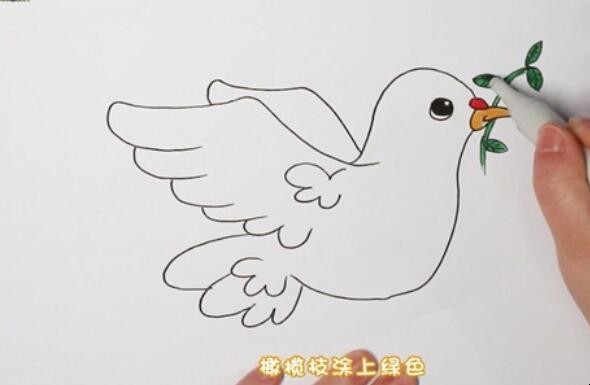 和平鸽简笔画怎么画