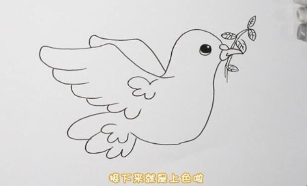 和平鸽简笔画怎么画