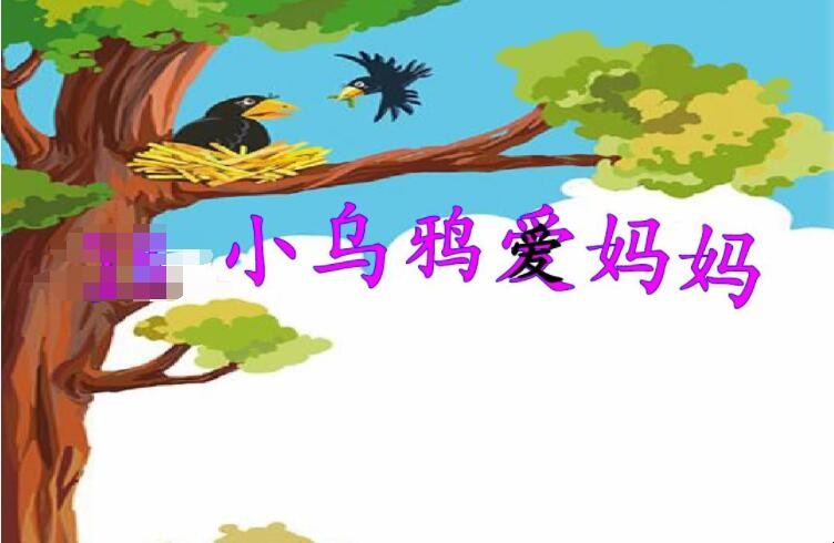 《小乌鸦爱妈妈》的歌词是什么