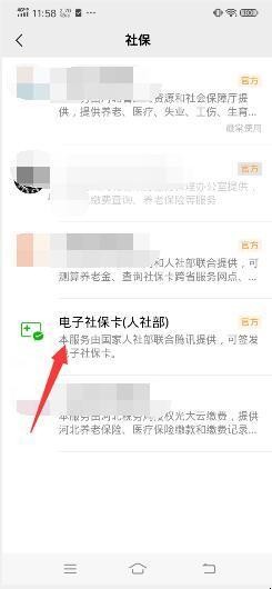 如何查询社保缴费总金额及明细