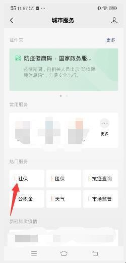 如何查询社保缴费总金额及明细