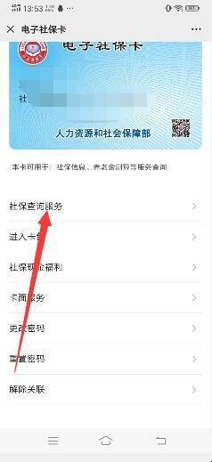 如何查询社保缴费总金额及明细