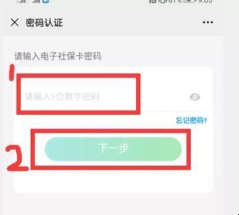 如何查询社保缴费总金额及明细