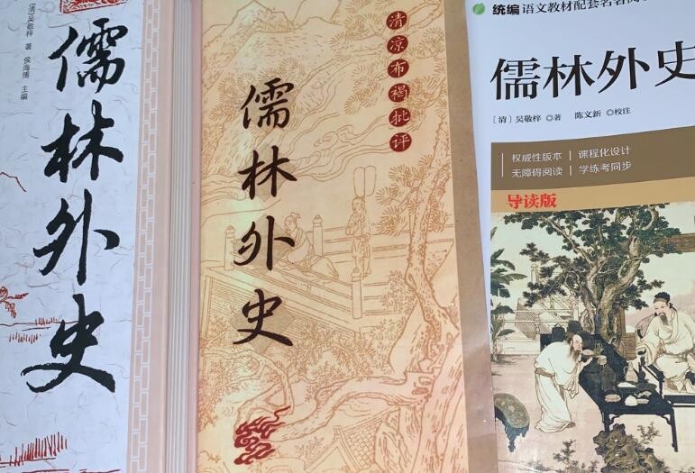 《儒林外史》读后感怎么写