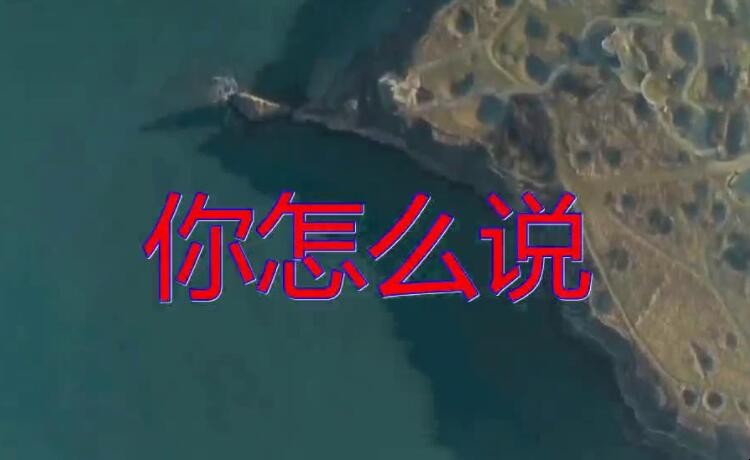 《你怎么说》的歌词是什么