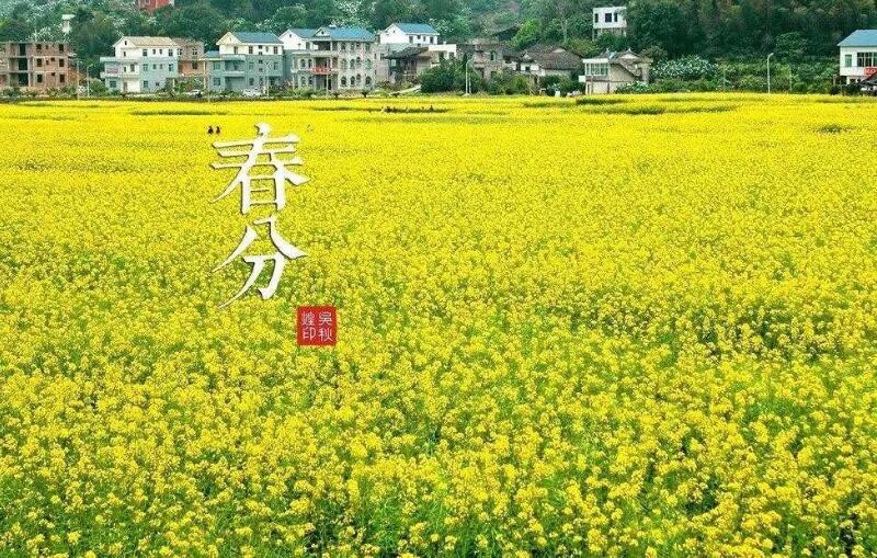 春分是什么意思