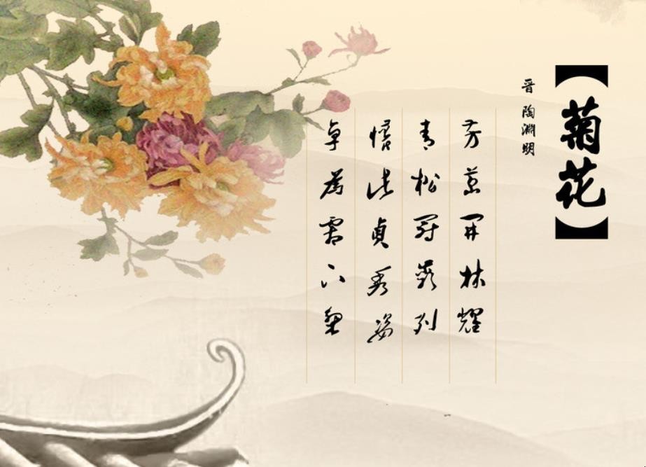 《菊花》