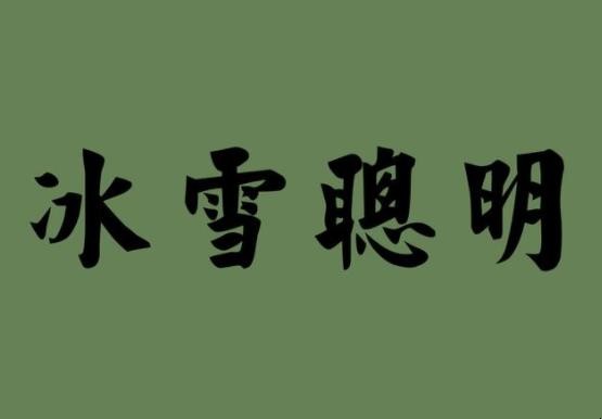 冰雪聪明是什么意思