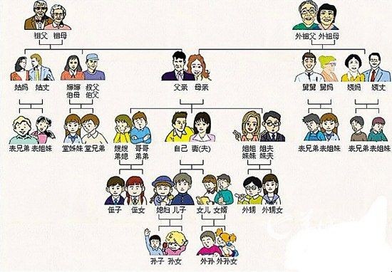 主要社会关系包括哪些