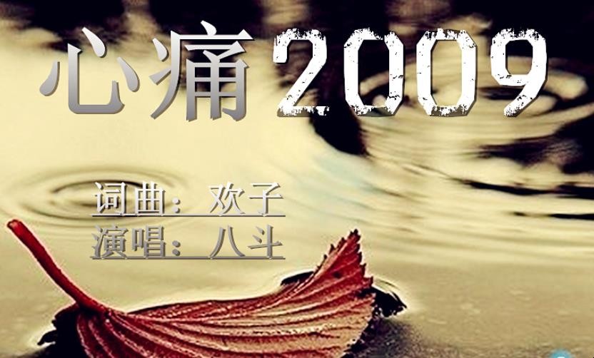 《心痛2009》歌词是什么