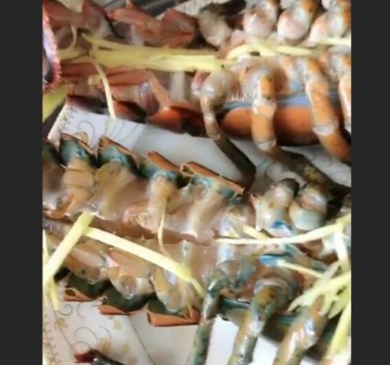 清蒸波士顿龙虾的流程怎么样