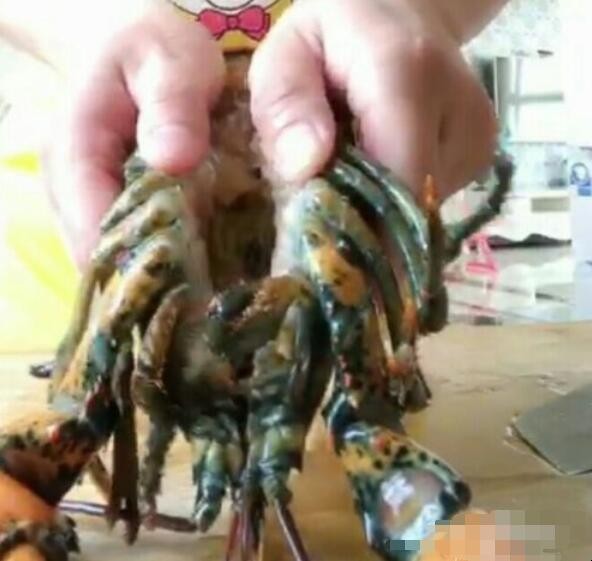 清蒸波士顿龙虾的流程怎么样