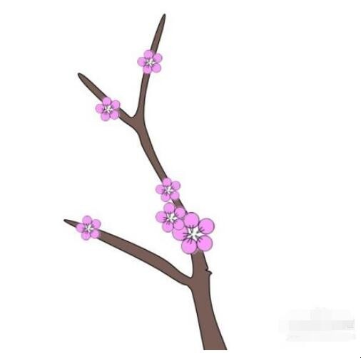 桃花简笔画怎么画