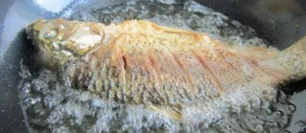 红烧鱼怎样做