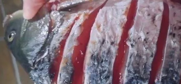 红烧鱼怎样做