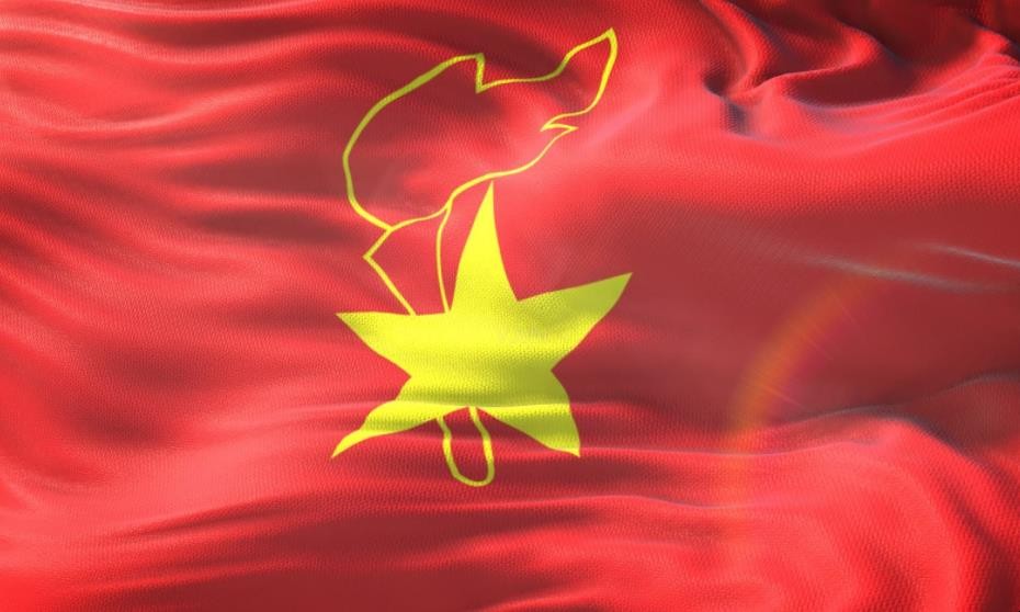 中国少年先锋队