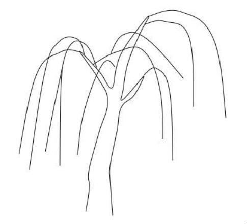 柳树简笔画怎么画