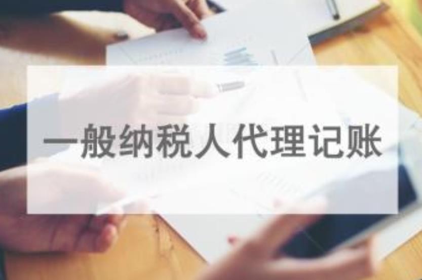 一般纳税人