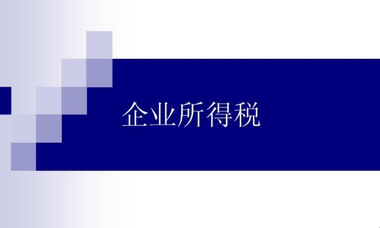 企业所得税有什么种类