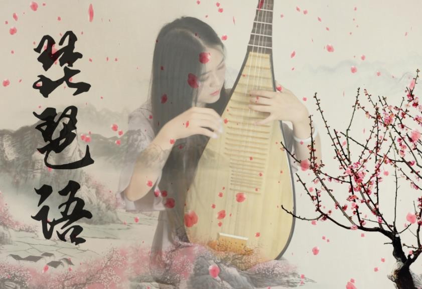 《琵琶语》