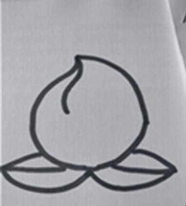 水蜜桃简笔画怎么画
