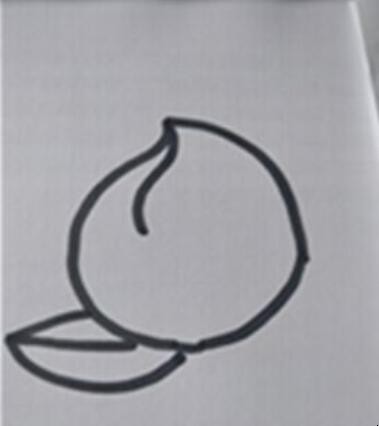 水蜜桃简笔画怎么画