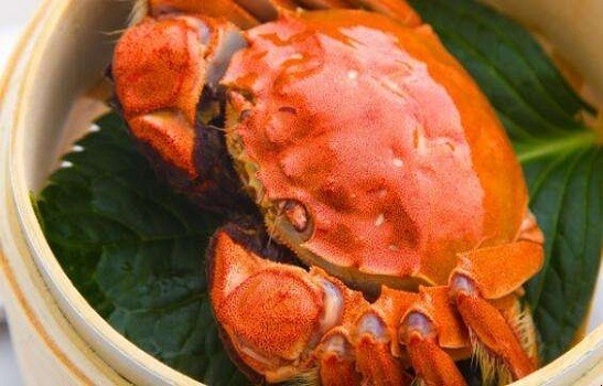 怎样吃大闸蟹