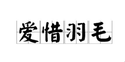 爱惜羽毛是什么意思
