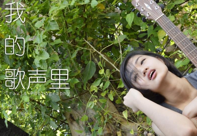 《我的歌声里》歌词是什么
