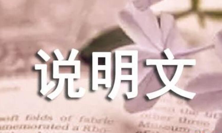 说明方法有哪几种