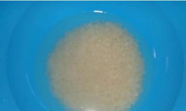 米发糕怎样做