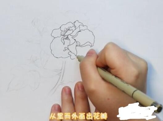芙蓉花简笔画怎么画