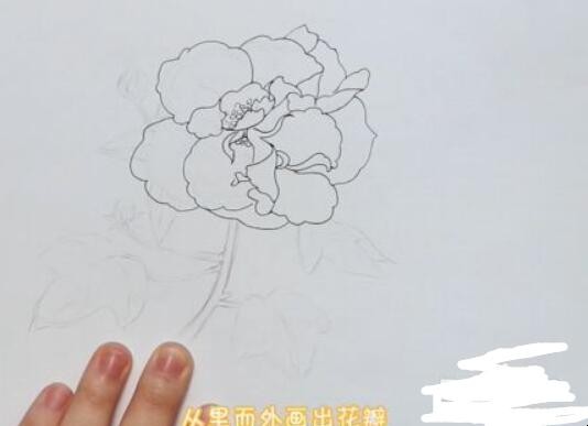 芙蓉花简笔画怎么画