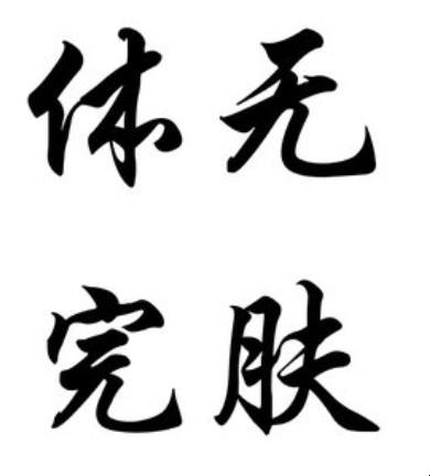 体无完肤是什么意思