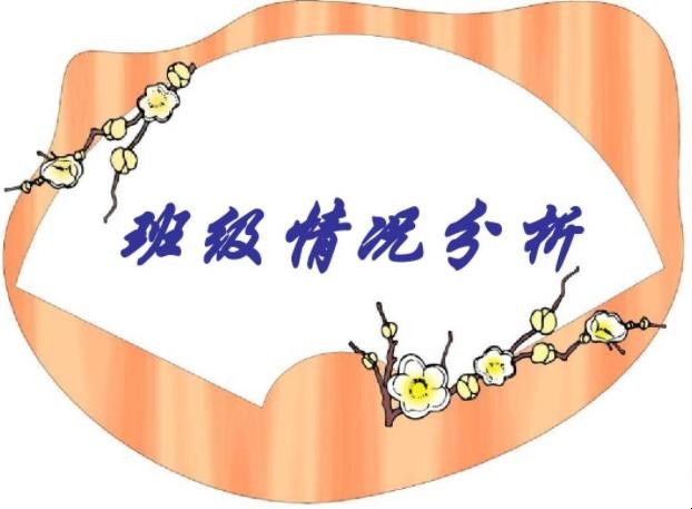 班级情况分析怎么写
