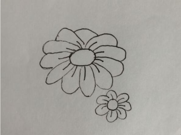 菊花简笔画怎么画