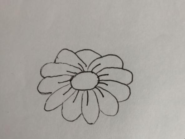 菊花简笔画怎么画