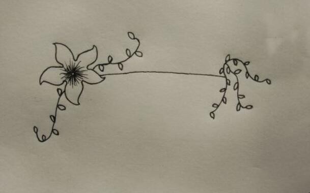 花边边框怎么画