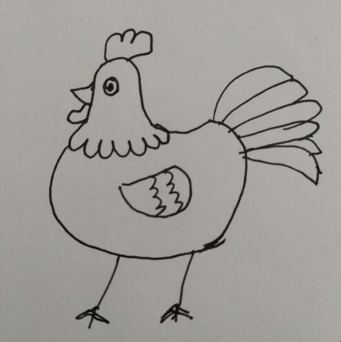 大公鸡简笔画怎么画