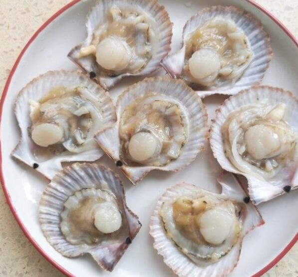 蒸蒜蓉扇贝的流程怎么样