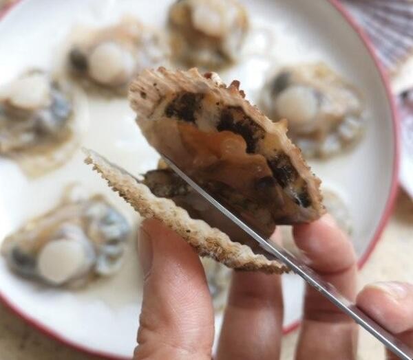 蒸蒜蓉扇贝的流程怎么样