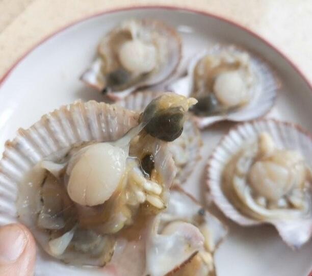 蒸蒜蓉扇贝的流程怎么样