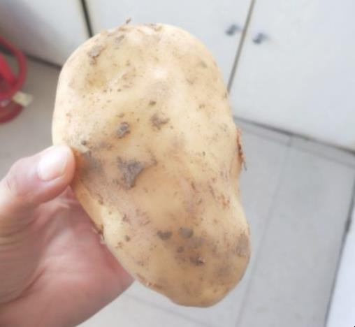 土豆炒肉的做法是什么